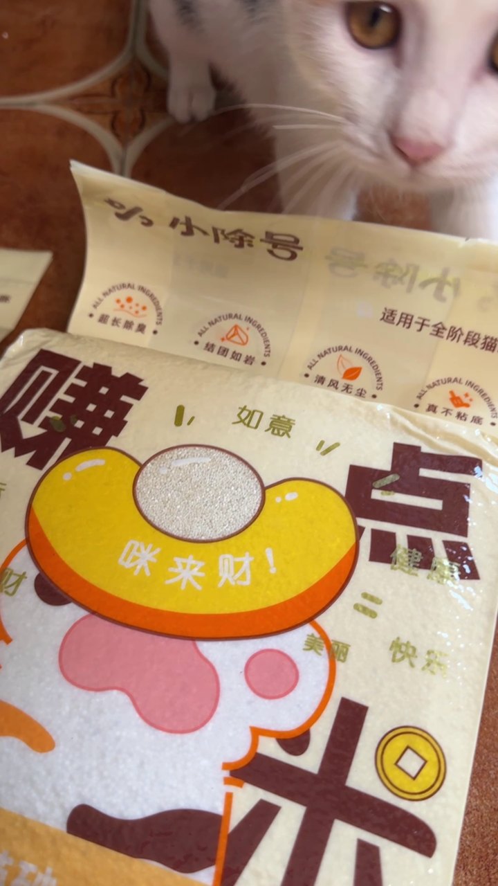 小米款现售包装与猫咪,真实视频截图